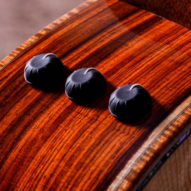 Taylor Custom Models.