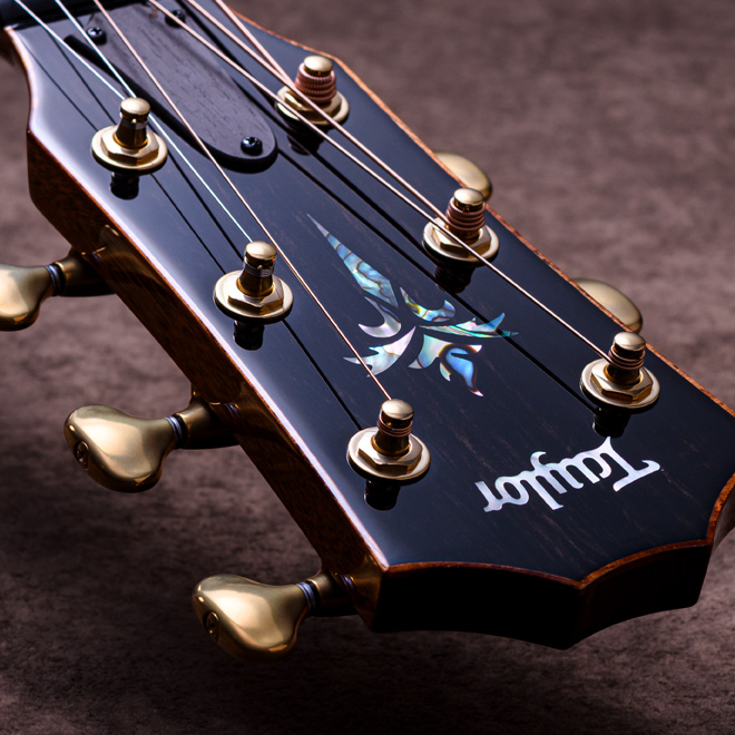 Taylor Custom Models.