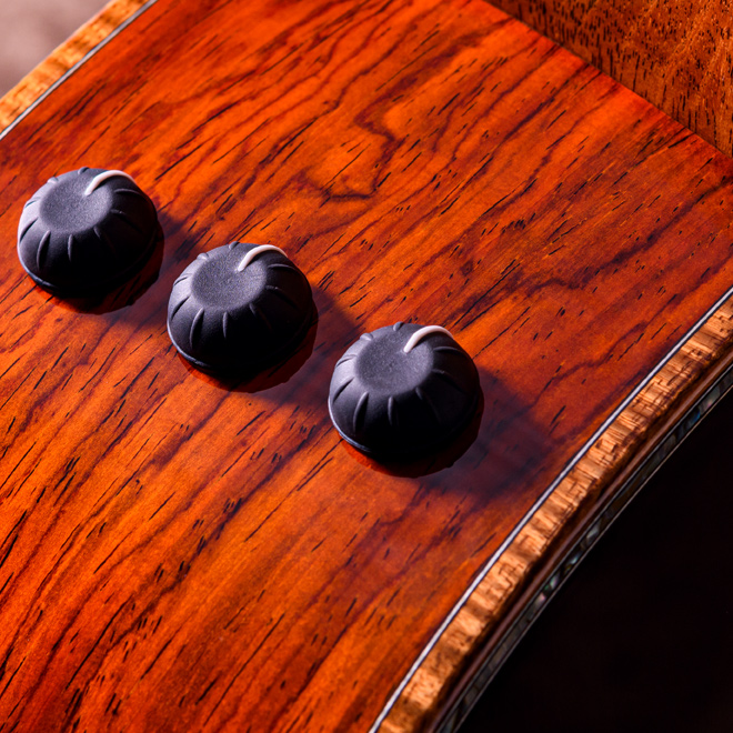 Taylor Custom Models.