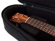 ネックブレイス画像